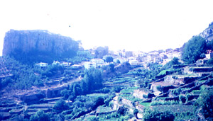 Vista de los huertos escalonados